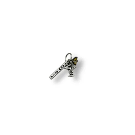 PINGENTE PB925 PROFISSÕES FARMÁCIA POLIDO SIMBOLO,Z COR, PLACA P-408-07