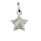 PINGENTE PB925 ESTRELA CRAVEJADA 10MM 4-00747C