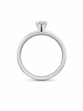 ANEL PB925 SOLITÁRIO 3MM 4 GARRAS ARO LISO 7803878000