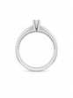 ANEL PB925 SOLITÁRIO 3MM 6 GARRAS ARO LISO 7805328000