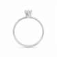 ANEL PB925 SOLITÁRIO 3MM 6 GARRAS ARO LISO 7805338000