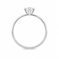 ANEL PB925 SOLITÁRIO 4MM 6 GARRAS ARO CRAVEJADO 7803198000